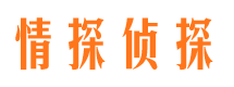 山阴市私人调查